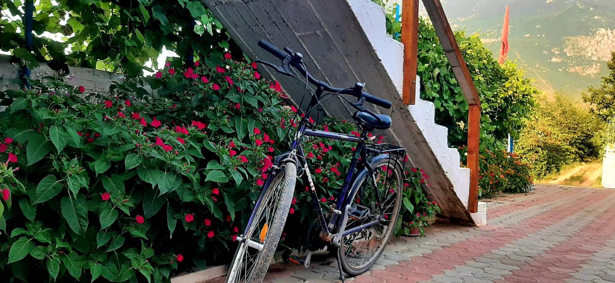 Superpanorama Guesthouse Kukes Exterior foto