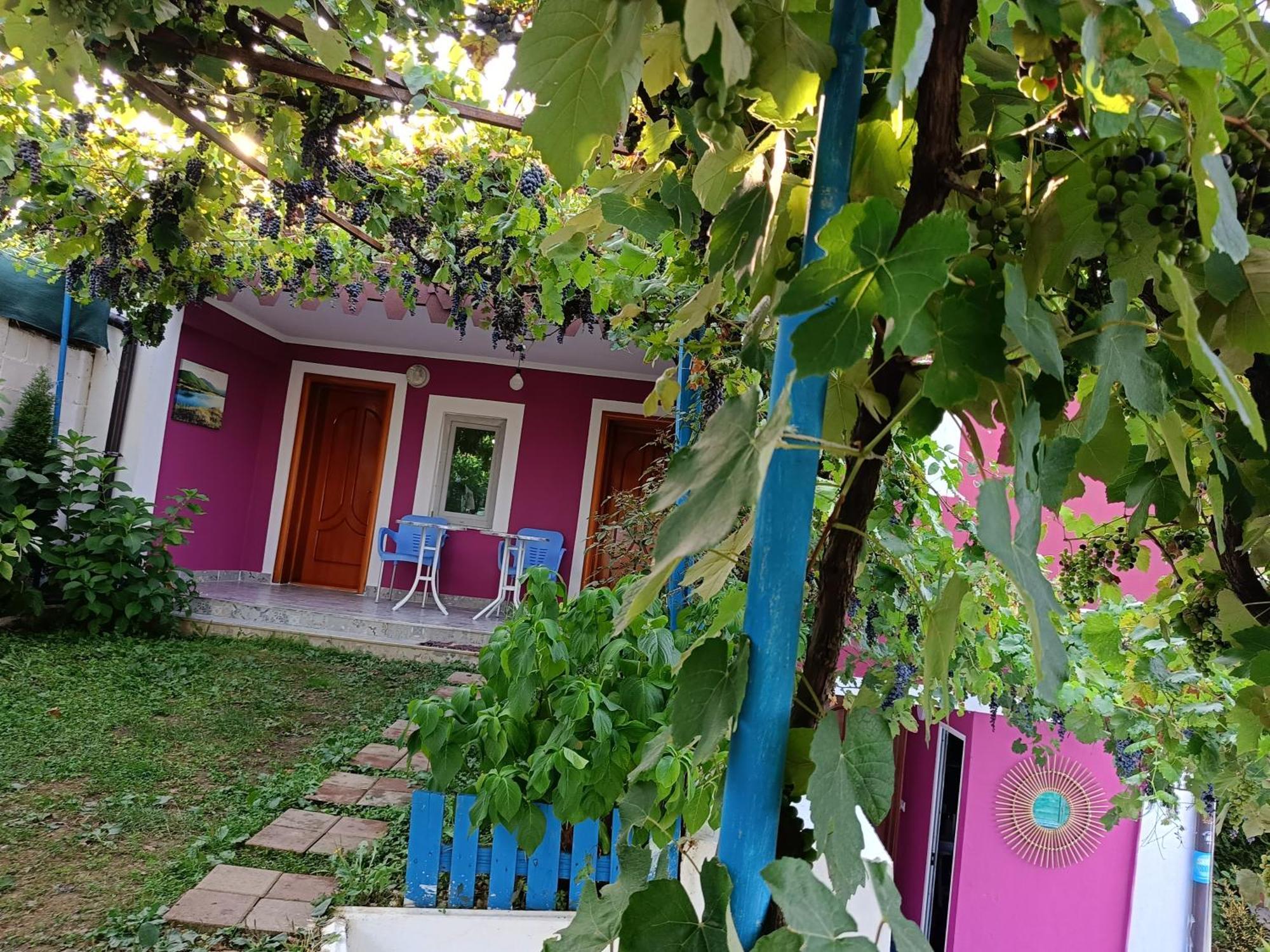 Superpanorama Guesthouse Kukes Exterior foto